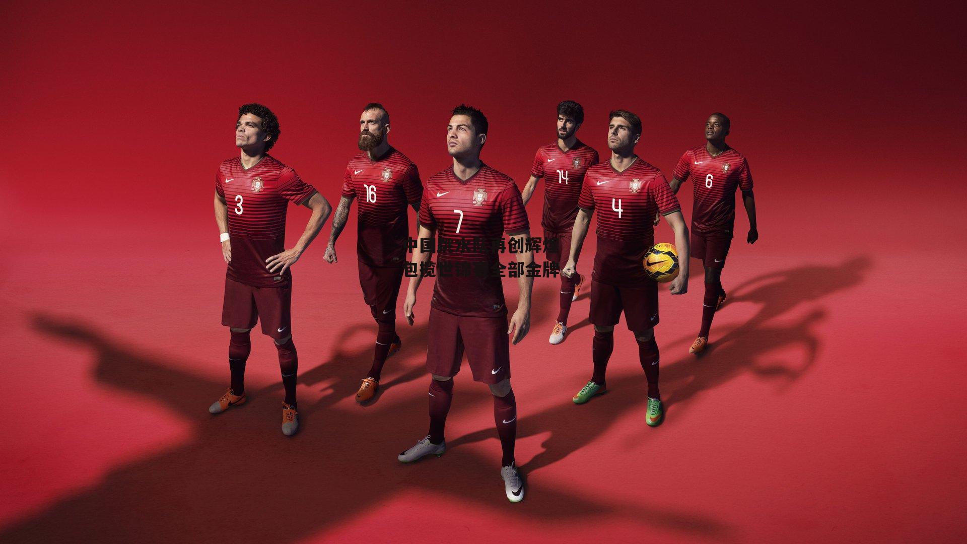 中国跳水队再创辉煌 包揽世锦赛全部金牌