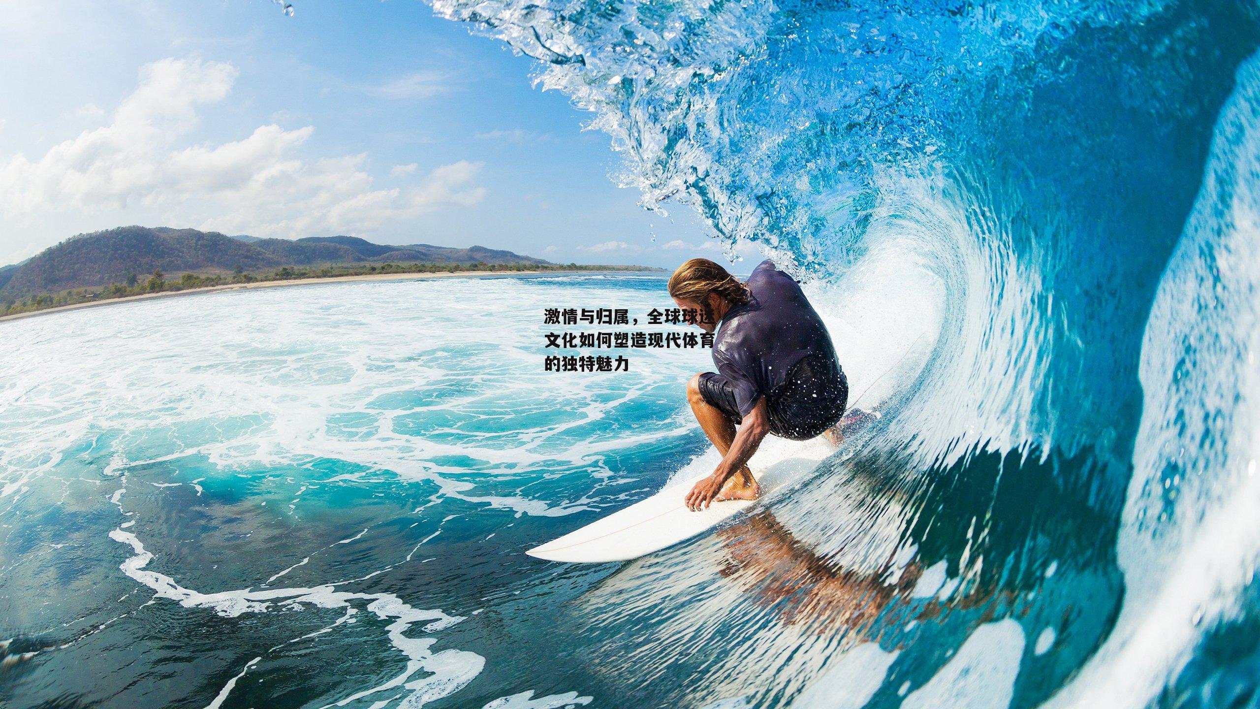 激情与归属,全球球迷文化如何塑造现代体育的独特魅力