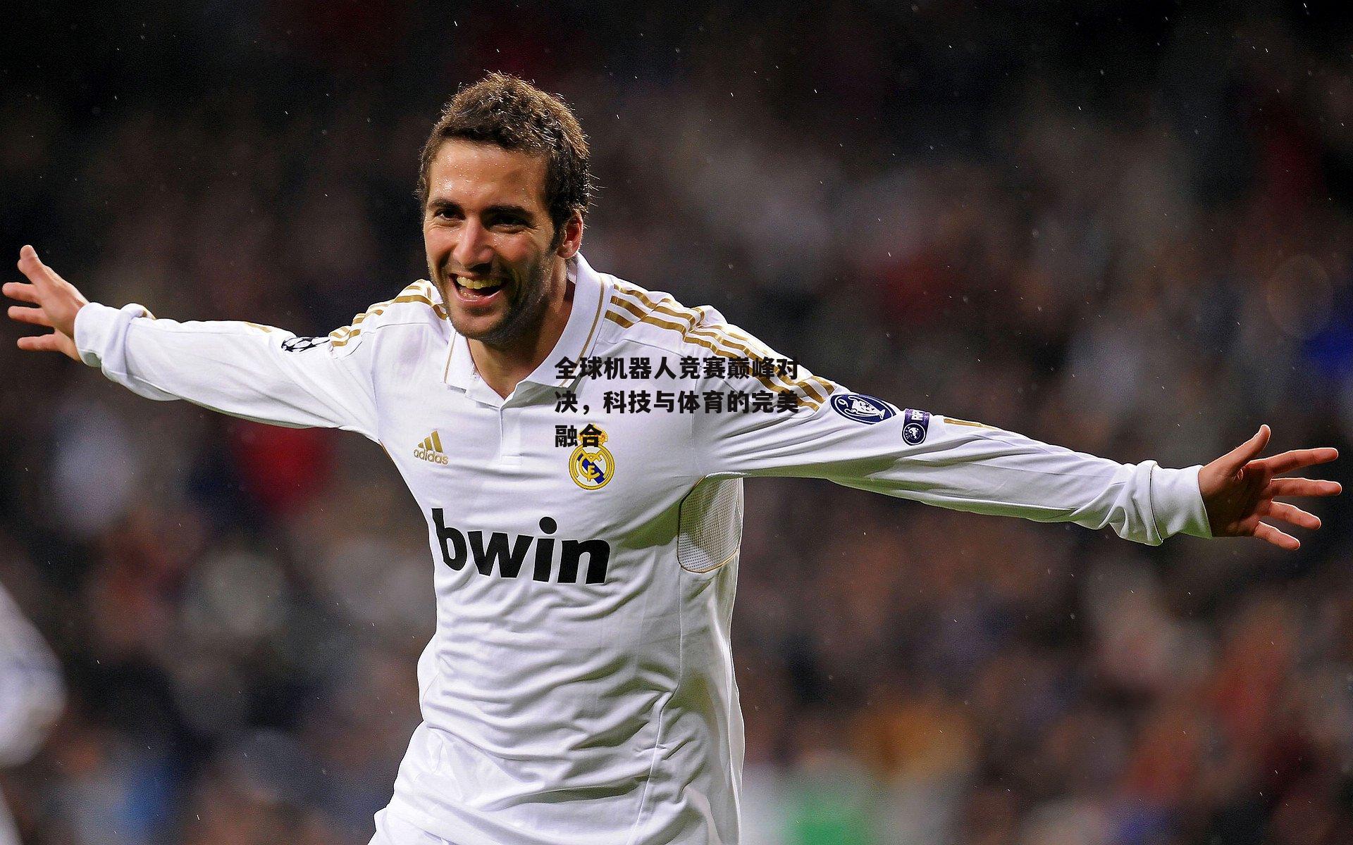 全球机器人竞赛巅峰对决,科技与体育的完美融合